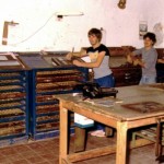 om-5-e1365708313481-150×150