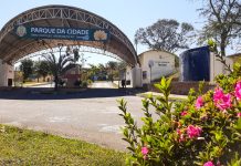 Femiso promete final de semana de shows, sabor e solidariedade