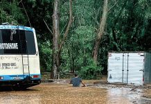 Resistência em meio ao caos