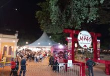 47ª Mostra Japão traz imersão cultural e gastronomia oriental para Amparo no início de maio