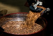 Roteiro de Café em Socorro: o guia perfeito para o Dia Nacional do Café