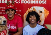 1º Encontro de Cães é neste domingo; evento terá feira de adoção, palestras e arrecadação em prol da causa animal