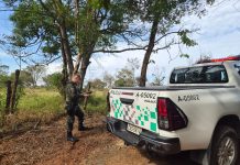 Polícia Militar Ambiental intensifica ações preventivas contra queimadas e incêndios florestais nas regiões de Campinas, Atibaia, Jundiaí e Amparo
