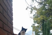 Estou de olho em você!